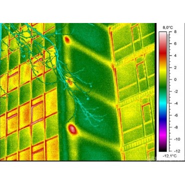 Thermografisch onderzoek            